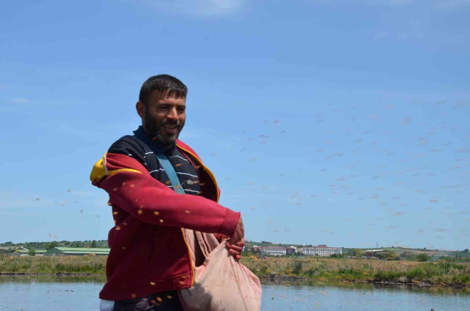 Çiftçilerin ’beyaz altın’ mesaisi başladı Türkiye’nin çeltik ihtiyacının neredeyse yarısını karşılayan Trakya’da çeltik üreticilerinin mesaisi başladı. Edirne’deki çeltik arazilerinde ...