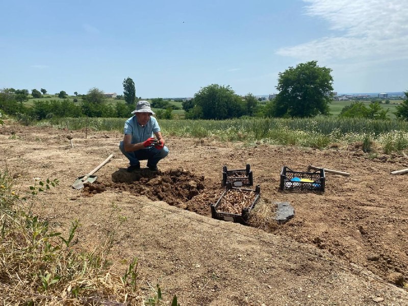 Edirne’de safranın soğan hasadı başladı Edirne’de boya, kozmetik, ilaç ve gıda gibi birçok alanda kullanılan, "şifalı bitki" olarak da adlandırılan safran bitkisinde soğanların hasadına ...