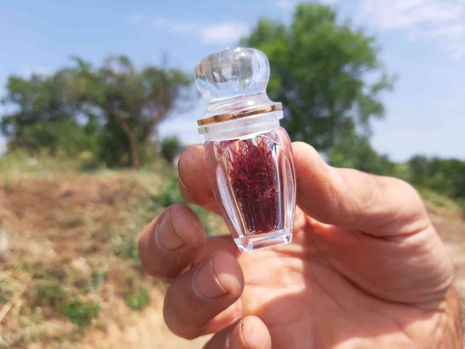 Edirne’de safranın soğan hasadı başladı Edirne’de boya, kozmetik, ilaç ve gıda gibi birçok alanda kullanılan, "şifalı bitki" olarak da adlandırılan safran bitkisinde soğanların hasadına ...