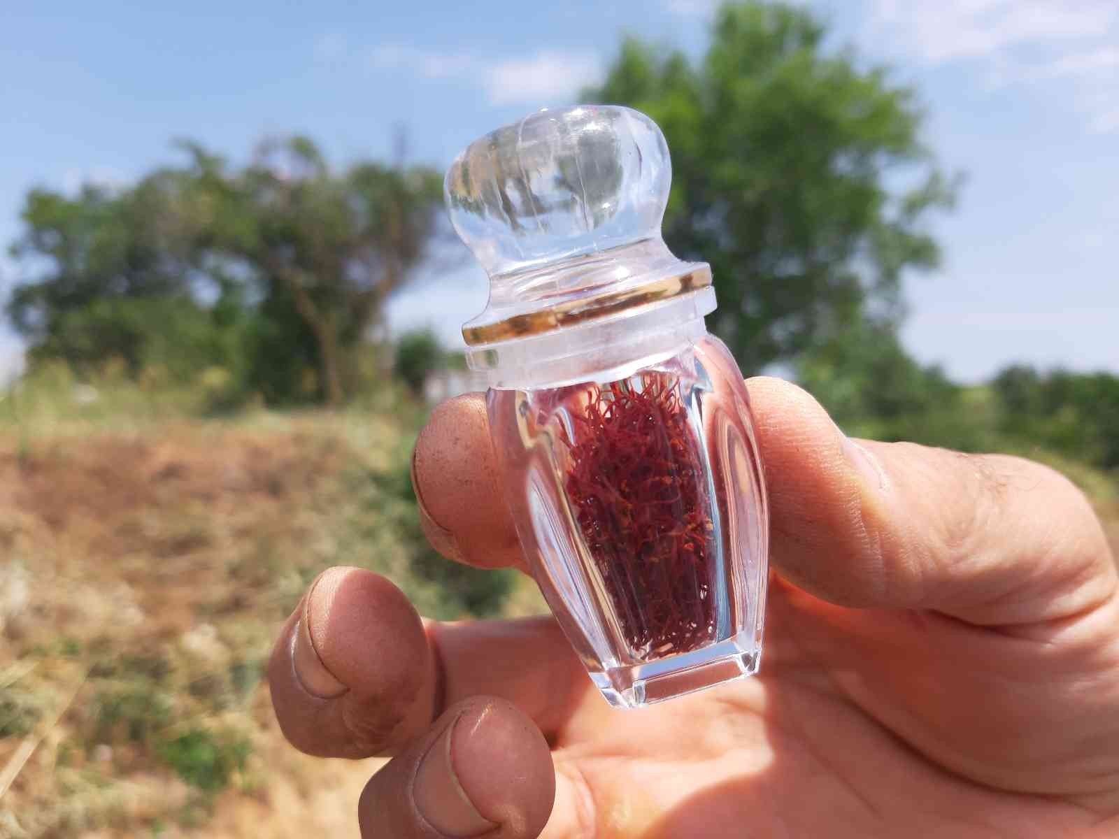 Edirne’de safranın soğan hasadı başladı Edirne’de boya, kozmetik, ilaç ve gıda gibi birçok alanda kullanılan, "şifalı bitki" olarak da adlandırılan safran bitkisinde soğanların hasadına ...