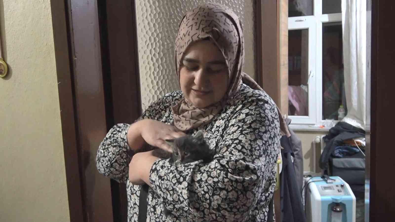 Kocaeli’de apartmanın havalandırma boşluğuna giren yavru kedi, itfaiye ekipleri tarafından kurtarıldı. Kedinin kurtarılması için ekipleri çağıran ...