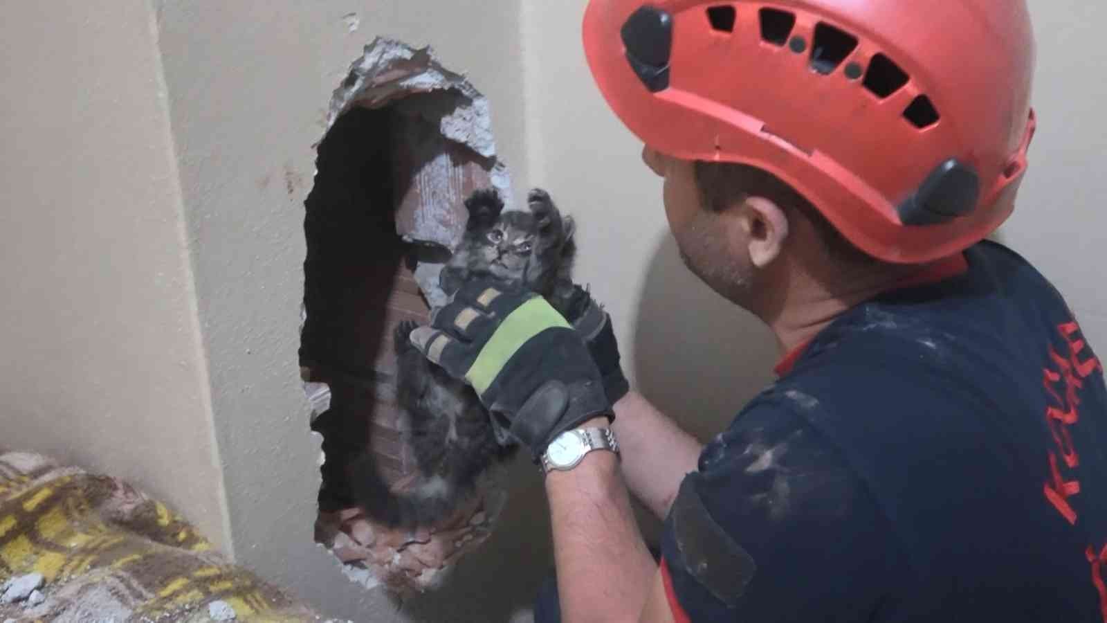 Kocaeli’de apartmanın havalandırma boşluğuna giren yavru kedi, itfaiye ekipleri tarafından kurtarıldı. Kedinin kurtarılması için ekipleri çağıran ...