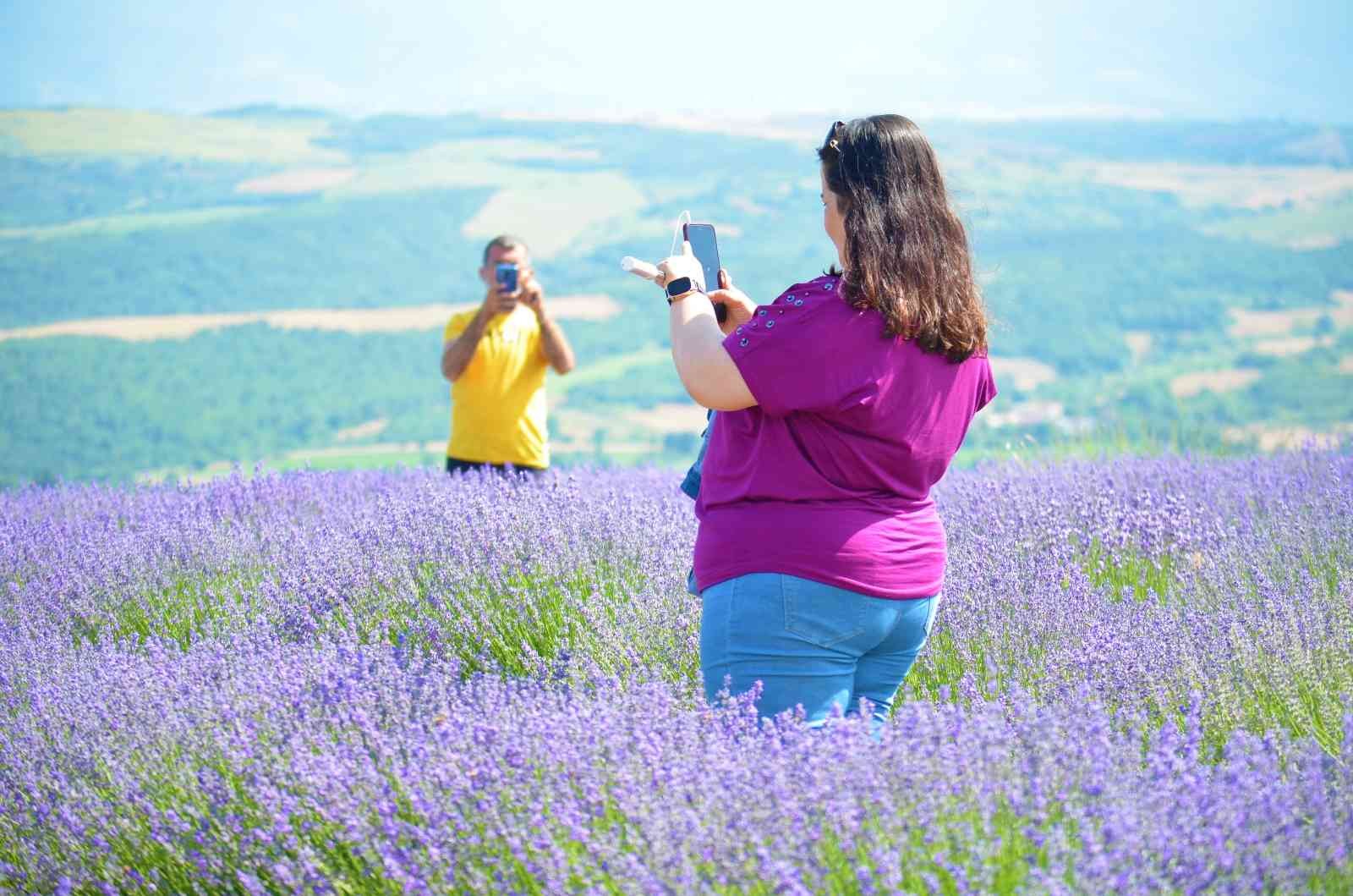Kültür ve Turizm Müdürü, ‘Yanı başımızda koca bir dev var’ diyerek duyurdu Tekirdağ Kültür ve Turizm İl Müdürü Ahmet Hacıoğlu, ‘Yanı başımızda koca bir dev var’ diye İstanbul’u işaret ederek, bu yıl Tekirdağ’daki lavanta ...
