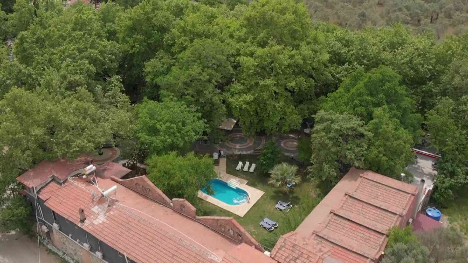 Balıkesir’in Edremit ilçesinde Kazdağları eteklerinde yer alan tescilli anıt ağaçlar turizme kazandırılıyor. Son olarak Manastırhan’da bulunan ...