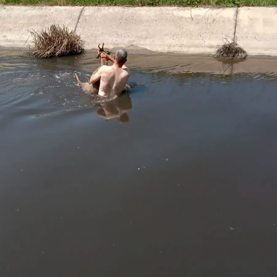 Sulama kanalına düşen karacayı muhtar kurtardı Edirne’de sulama kanalına düşen yaralı karaca, köy muhtarı tarafından kurtarılarak Doğa Koruma ve Milli Parklar ekiplerine teslim edildi. İpsala ...