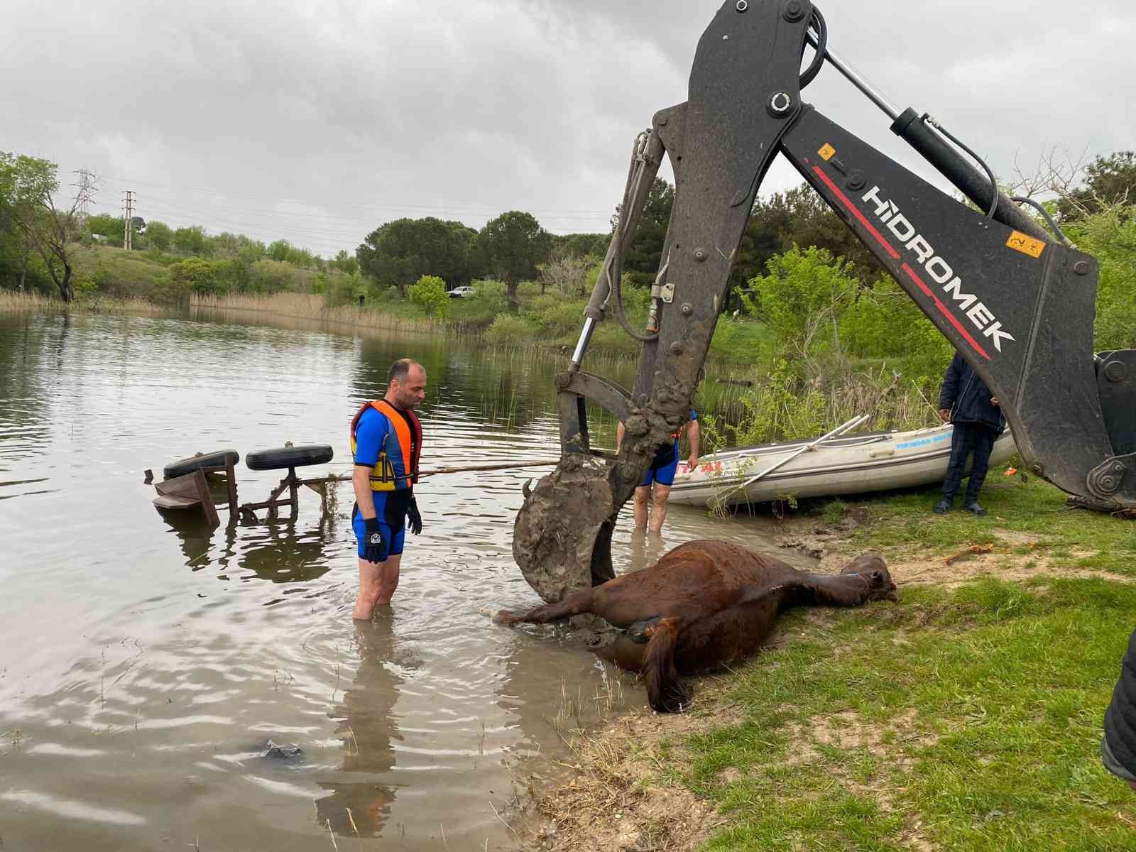 Tekirdağ’da bağlı olduğu arabasıyla gölete düşen at boğuldu Tekirdağ’ın Hayrabolu ilçesinde arabasıyla gölete düşen at boğuldu. Olay Tekirdağ’ın Hayrabolu ilçesinde bulunan Hayrabol Göletine meydana geldi ...