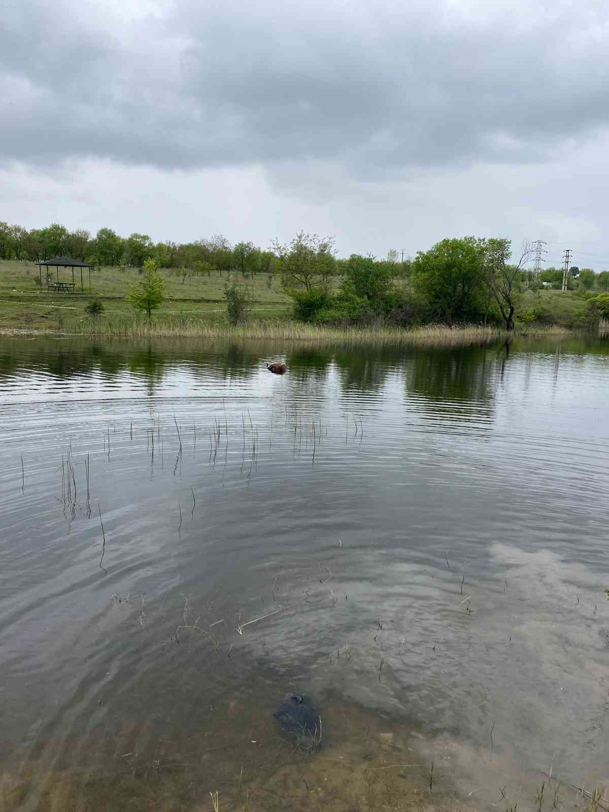 Tekirdağ’da bağlı olduğu arabasıyla gölete düşen at boğuldu Tekirdağ’ın Hayrabolu ilçesinde arabasıyla gölete düşen at boğuldu. Olay Tekirdağ’ın Hayrabolu ilçesinde bulunan Hayrabol Göletine meydana geldi ...