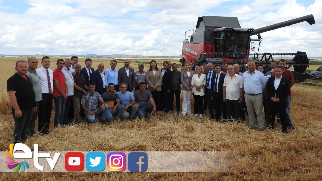 ARPAFIYATLARICIFTILEREMUTLUETTI