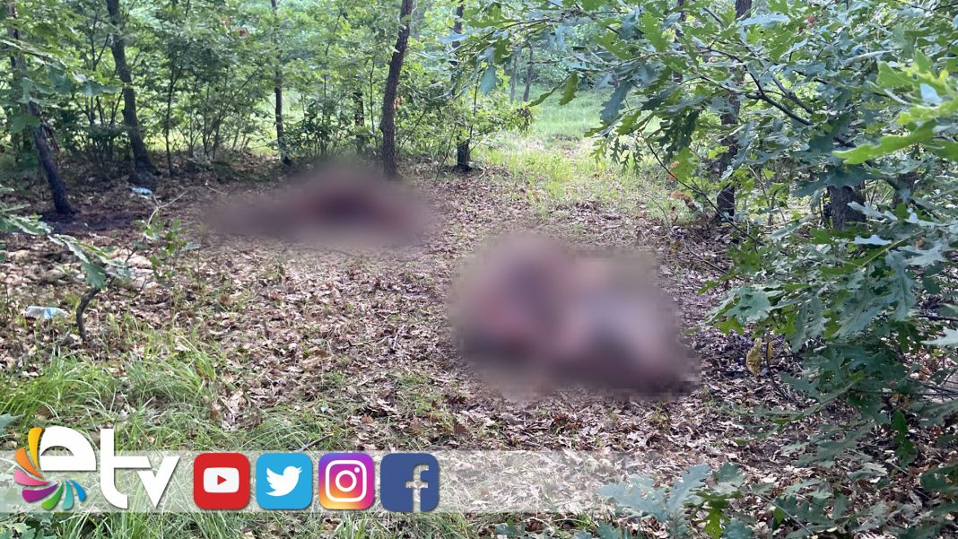 TEKIRDAGORMANKESILMISAT