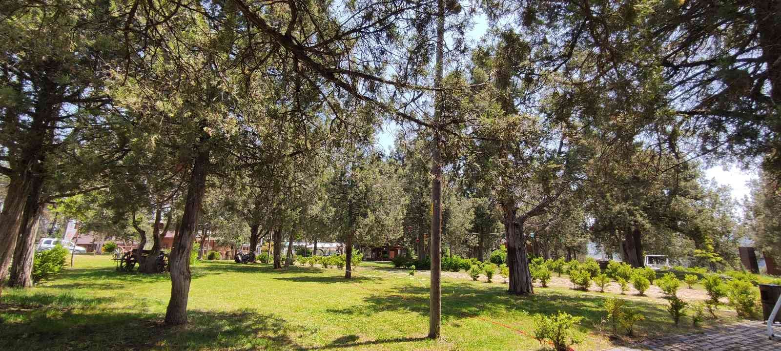 Bu yaz doğa tatilleri moda Bu yıl yüksek fiyattan dolayı Ege ve Akdeniz kıyılarına gidemeyenler doğa tatillerini tercih ediyor. Harmancık ilçesinde bulunan Bungalov evler ...