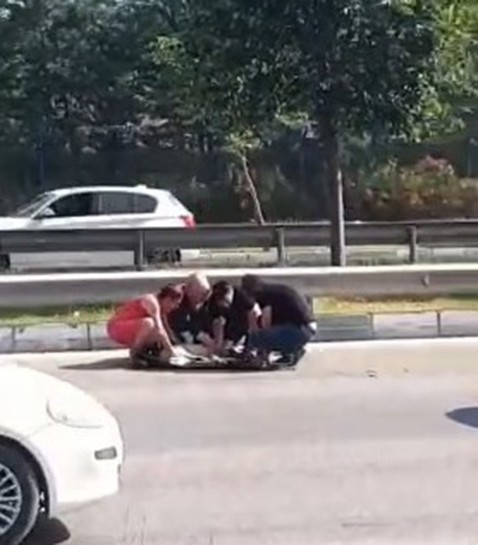 Bursa’da kadın sürücüden insanlık dersi Bursa’da ana yoldan karşıya geçen köpeğe çarpan kadın sürücü gözyaşlarına boğulurken, arabasına koyarak veterinere götürdü. Olay, saat 12.00 ...