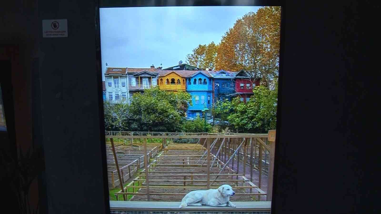 Üsküdar Belediyesi, Nevmekan Sahil’de düzenlenen NFT Sergisi ile Üsküdarlı vatandaşları bir araya getirdi. Başkan Hilmi Türkmen’in de katıldığı ...