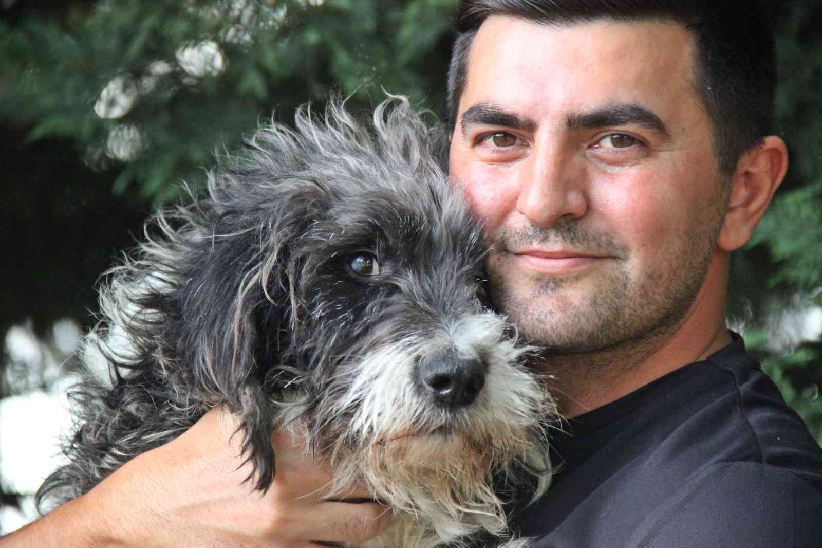 Kocaeli’de aracın çarpması neticesinde ağır yaralanan ve bazı veteriner hekimlerin "Yürüyemeyecek" dediği sokak köpeği, Ankara’daki bir klinikte ...