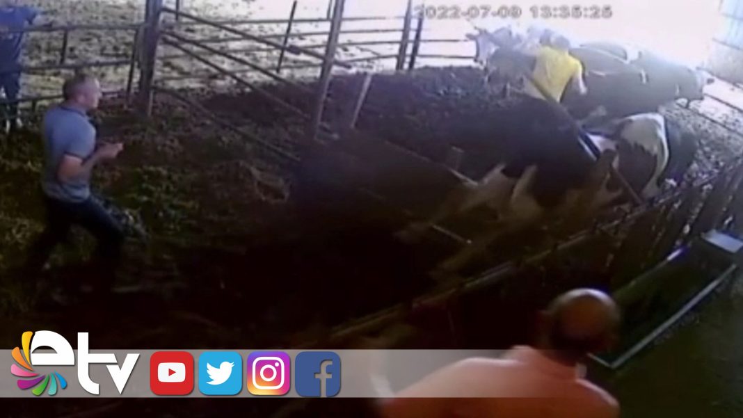 KURBANLIKDANAORTALIGI