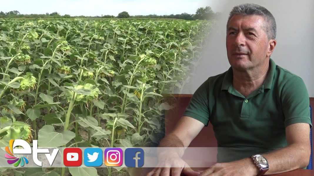 TIRTILIMMEDEMMIACIKLADIIILACCC