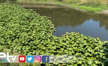 JTNDaWZyYW1lJTIwc3JjJTNEJTIyaHR0cHMlM0ElMkYlMkZ3d3cuZWN6YW5lbGVyLmdlbi50ciUyRmlmcmFtZS5waHAlM0Zsb2thc3lvbiUzRDEyOTUlMjIlMjBuYW1lJTNEJTIyRWRpcm5lJTIwTWVya2V6JTIwbiVDMyVCNmJldCVDMyVBN2klMjBlY3phbmVsZXJpJTIyJTIwc3R5bGUlM0QlMjJ3aWR0aCUzQTEwMCUyNSUzQmhlaWdodCUzQTM3MHB4JTNCYm9yZGVyJTNBbm9uZSUzQiUyMiUzRSUzQyUyRmlmcmFtZSUzRQ==