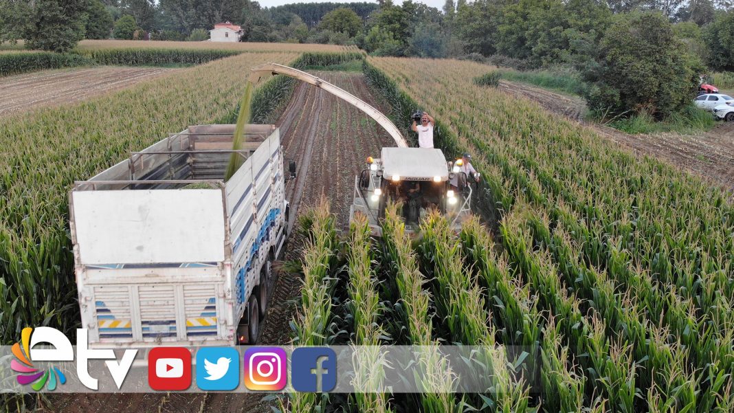 EDIRNEDESILAJLIMISIHASAD