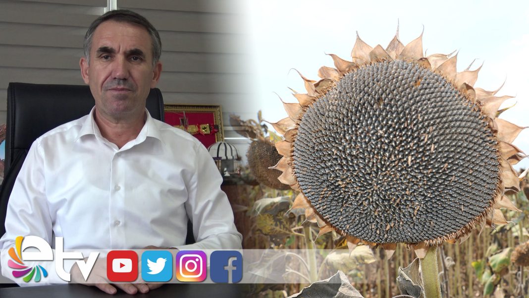 KIRBICAYICICEGIUREYTICIYI