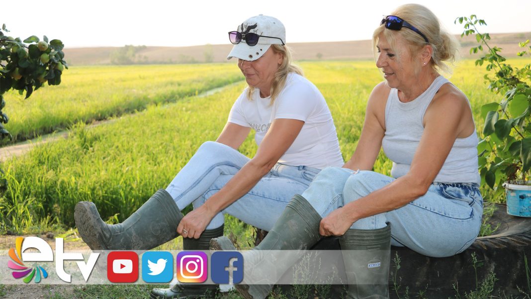 BABAMESLEGINISUNDURENKIZKARDESLER