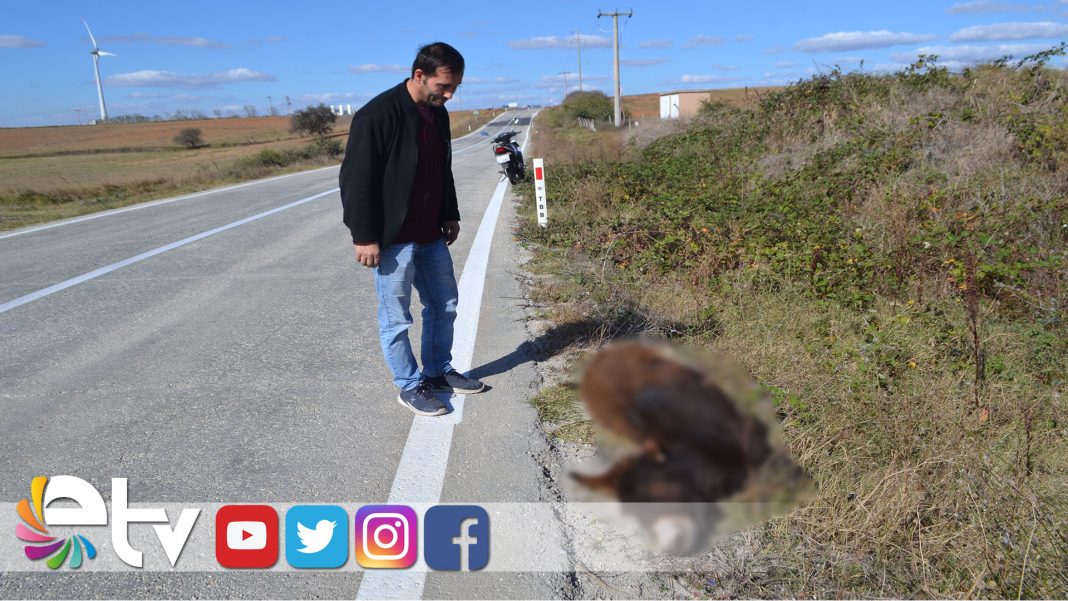 ARABANINCARPTIGIESEK