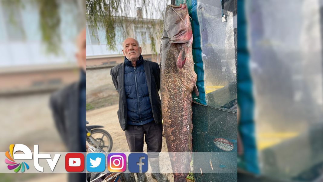 IKIMETRELIKBALIKOLTAYATAKILDI