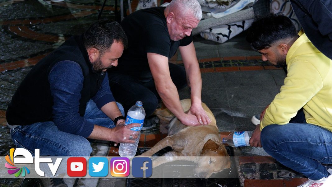 KOPEGINYASAMASIICINDAKIKALARCAKALPMASAJI