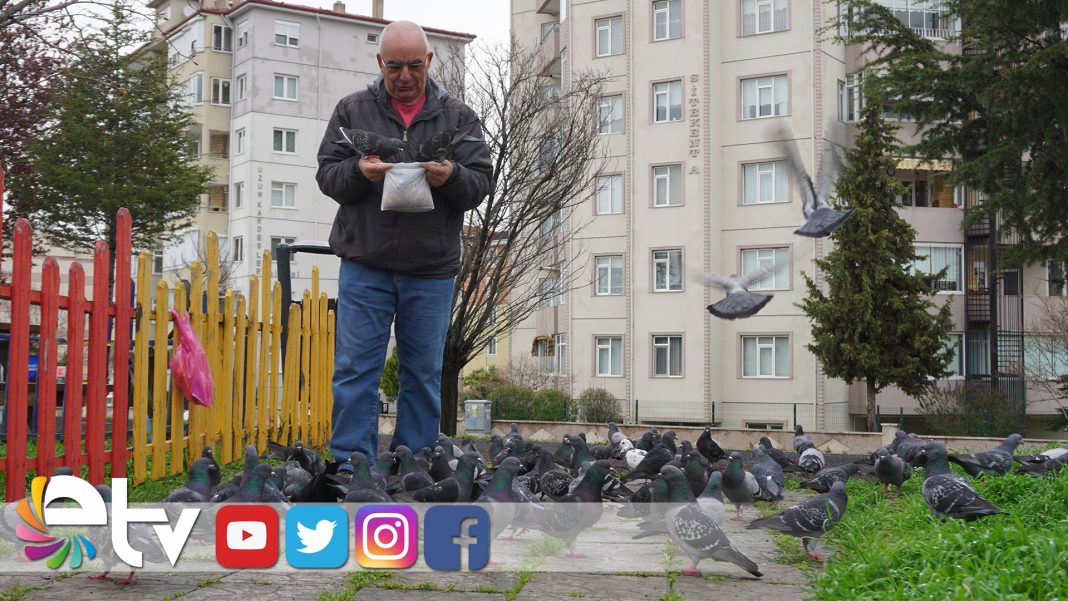 HERGUNAYNISAATTEGUVERCINLERI