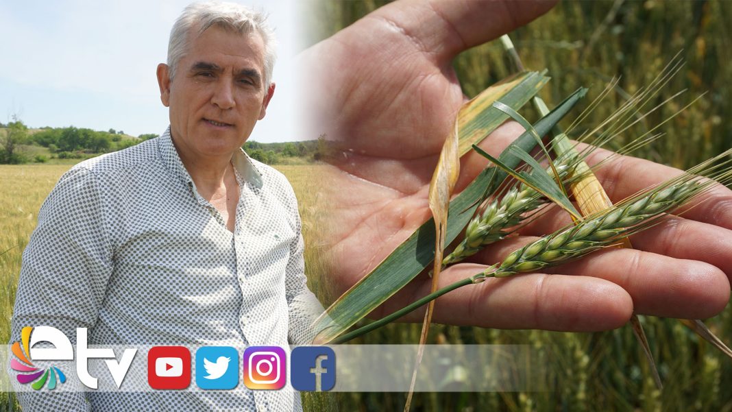 çitçilere-tarlalarınızı-kontrol