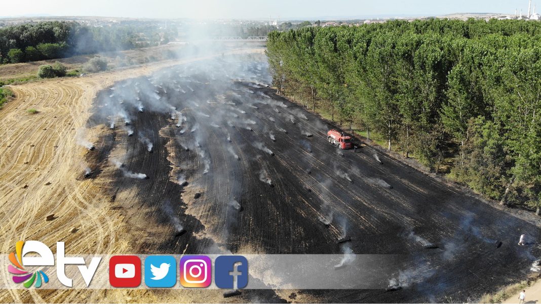 250-SAMAN-BALYASI-KÜLE-DÖNDÜ