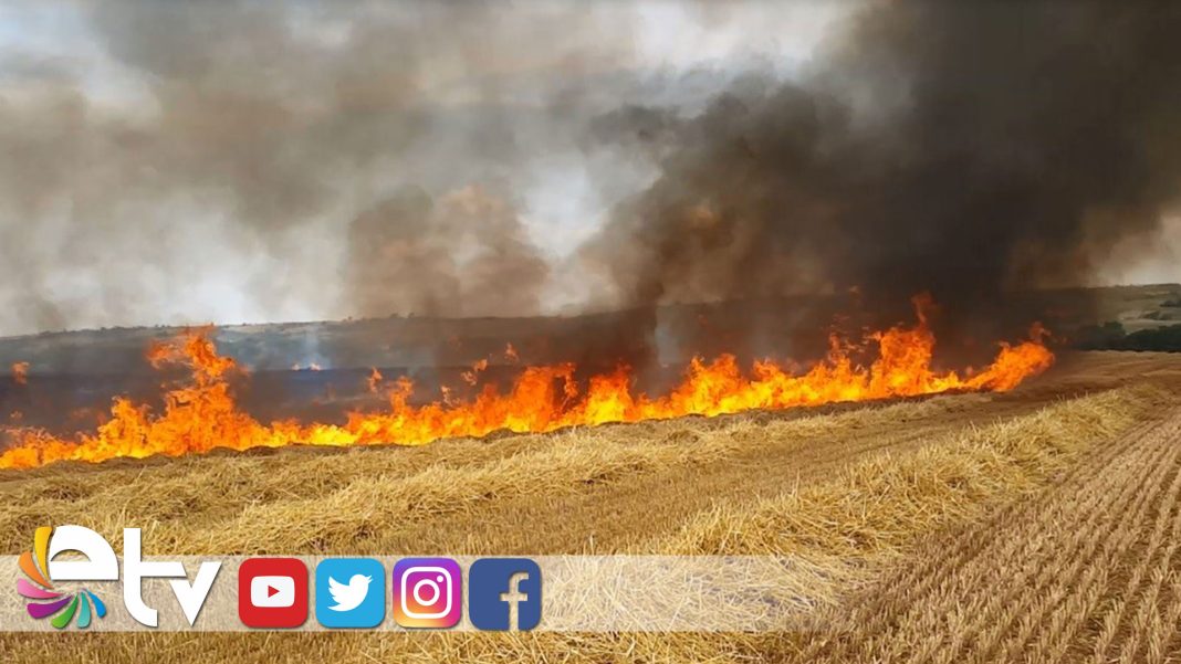 ASIRISICAKHUBUBATYANGIN