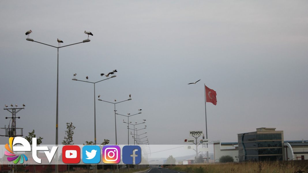 LEYLEKLERDEN-GÖRSEL-ŞÖLEN