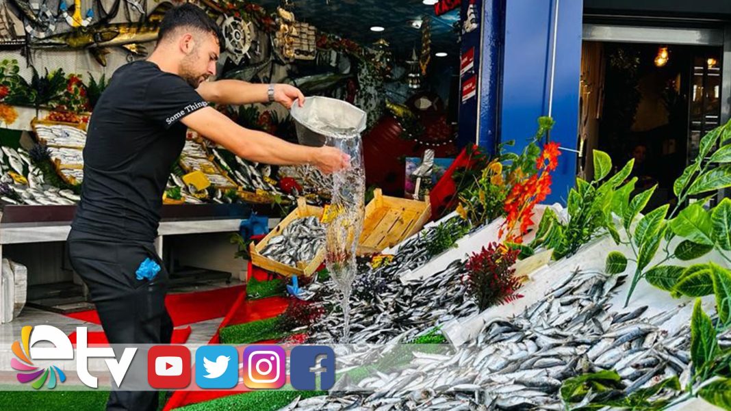 AV-YASAĞI-SONA-ERDİ