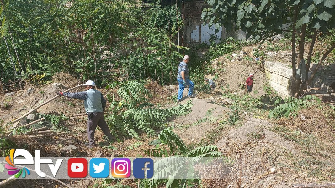 TARİHİ-BİZANS-SURLARI,-OTLARDAN-TEMİZLENİYOR