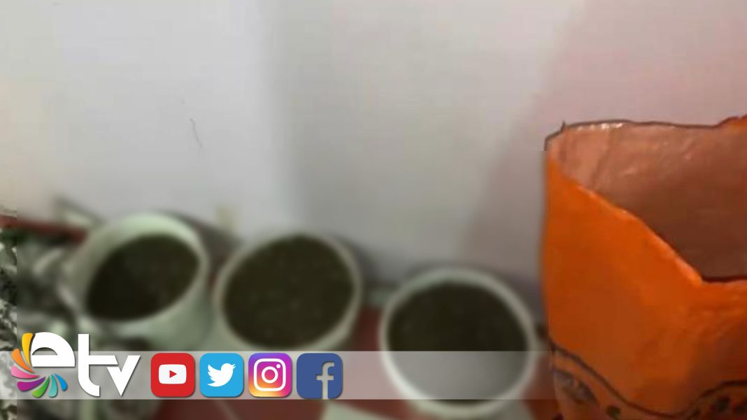 EVDE-DÜZENEK-KURUP-UYUŞTURUCU-YETİŞTİREN-ŞAHIS-YAKAYI-ELE-VERDİ