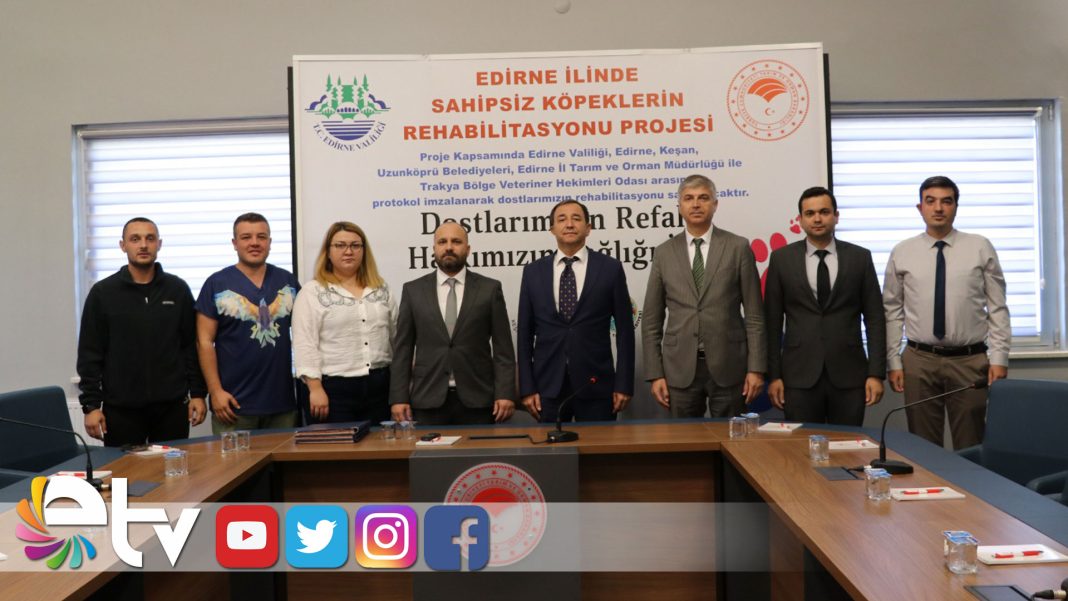 SAHİPSİZ-KÖPEK-HAY