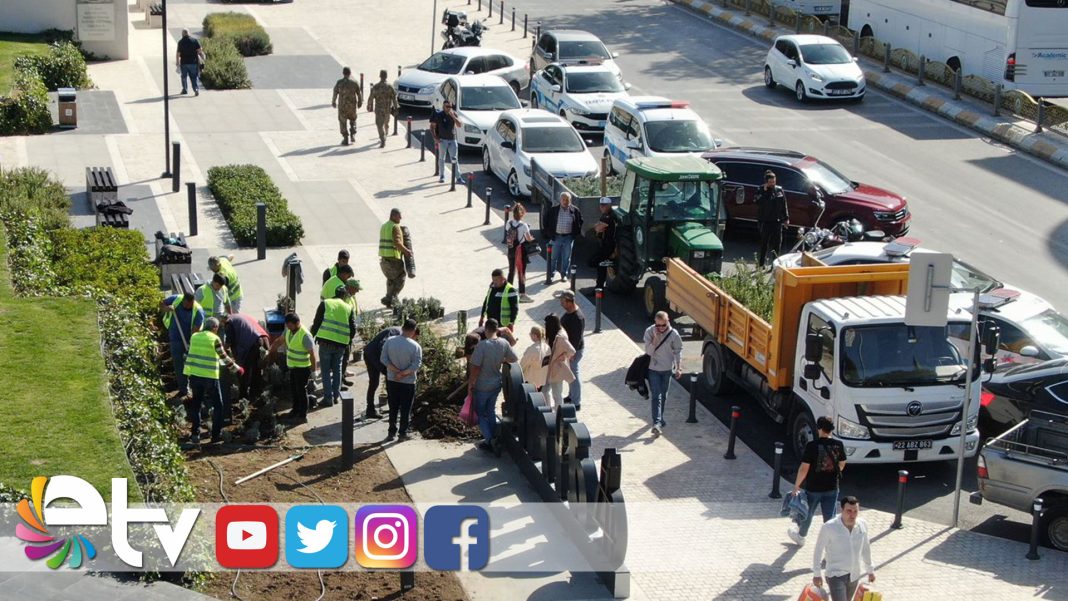 SELİMİYE-MEYDANI,-YENİ-BİTKİLERLE-BULUŞTUu