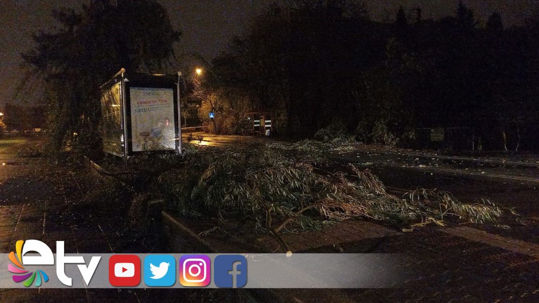 EDİRNE’DE-ETKİLİ-OLAN-FIRTINA-AĞACI-DEVİRDİ,-YOL-TRAFİĞE-KAPANDI