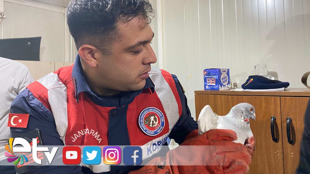 192-KACAK-KUS-ELE-GECIRILDI