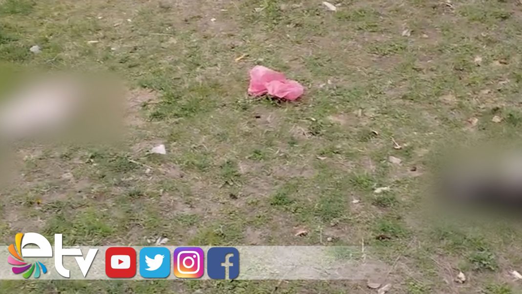 3-KEDI-OLU-BULUNDU.00_00_08_13.Still001