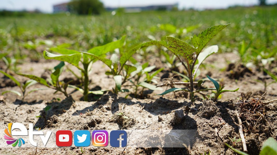 URETICILERIN-BEKLENTISI-YUKSEK