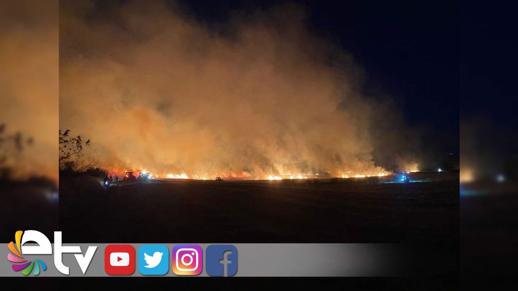 100-DONUM-EKILI-TARIM-ARAZISI-ALEV-ALEV-YANDI