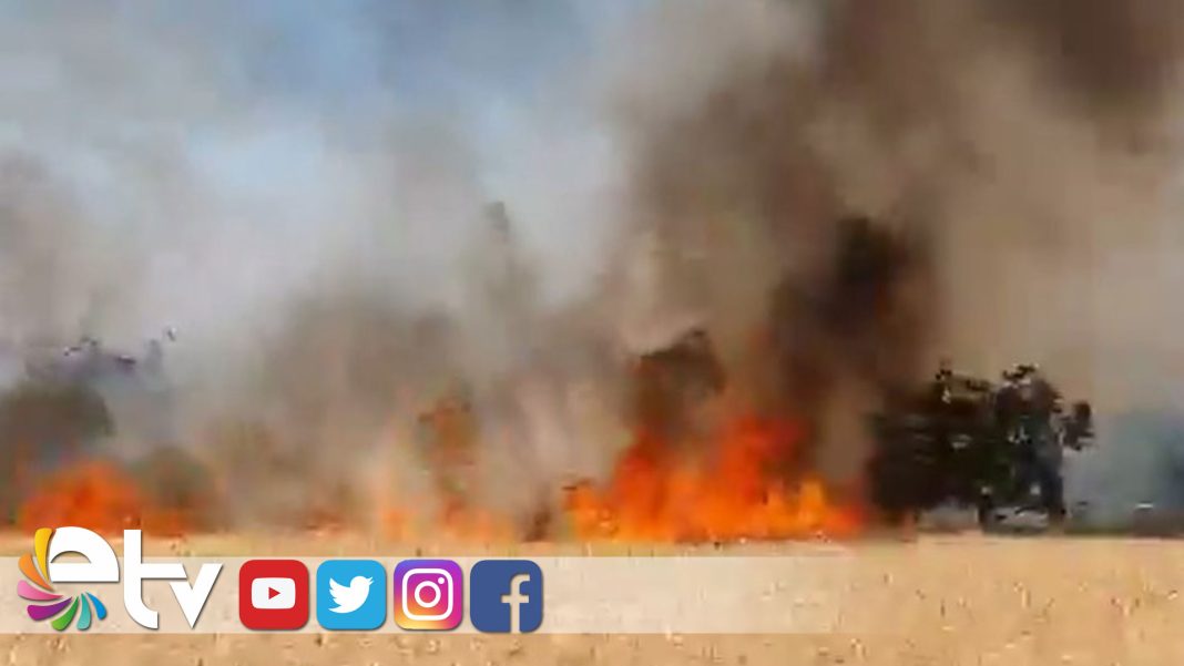 BUGDAY-TARLASI-KULE-DONDU