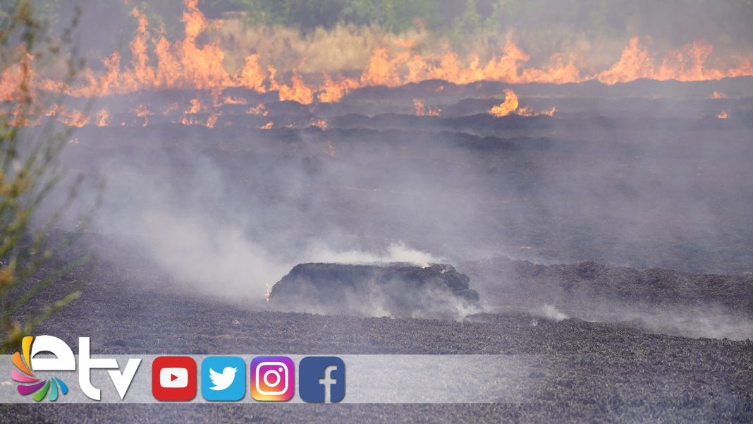 KARAAGACTA-KORKUTAN-TARLA-YANGINI