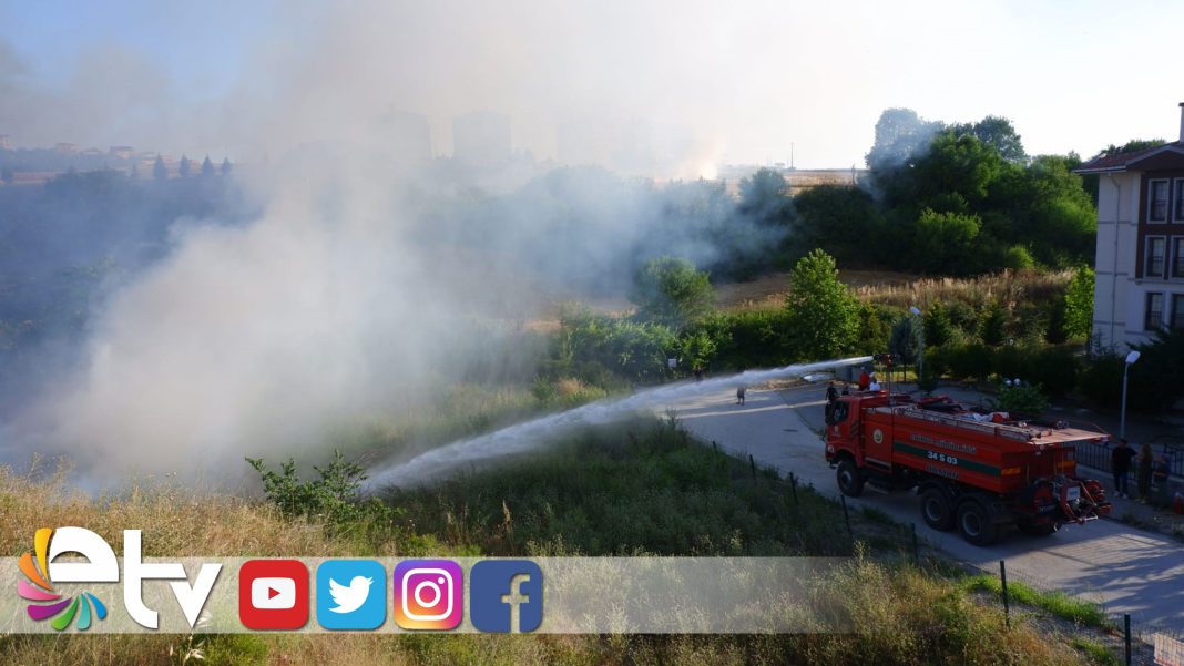 TARLADA-CIKAN-YANGIN-EVLERE-SICRAMADAN-SONDURULDU