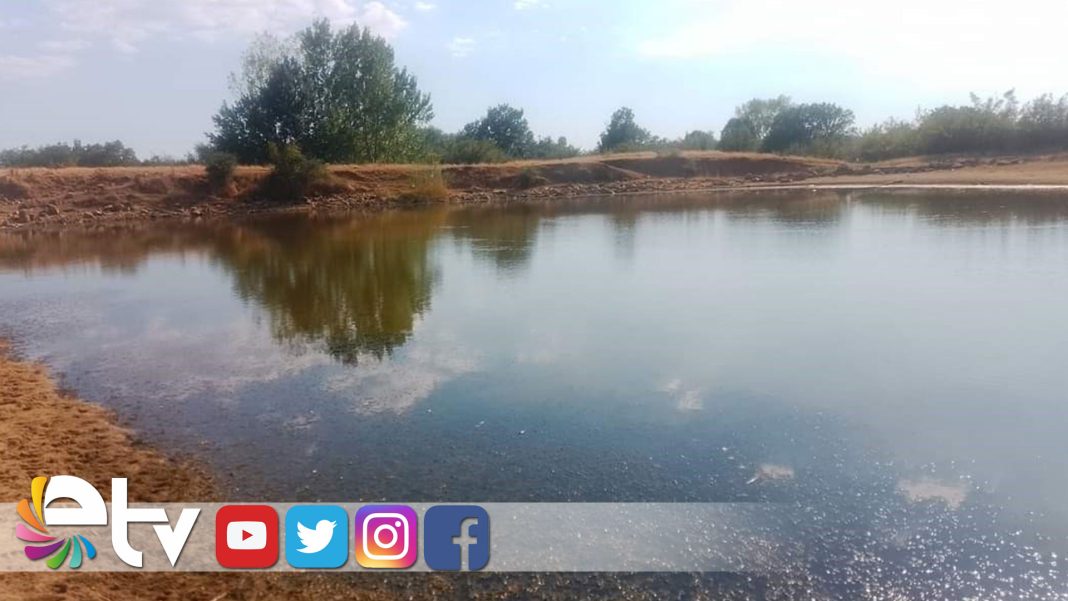 ÇÖMLEKKÖY-GÖLETİNDE-YÜZLERCE-BALIK-TELEF-OLDU