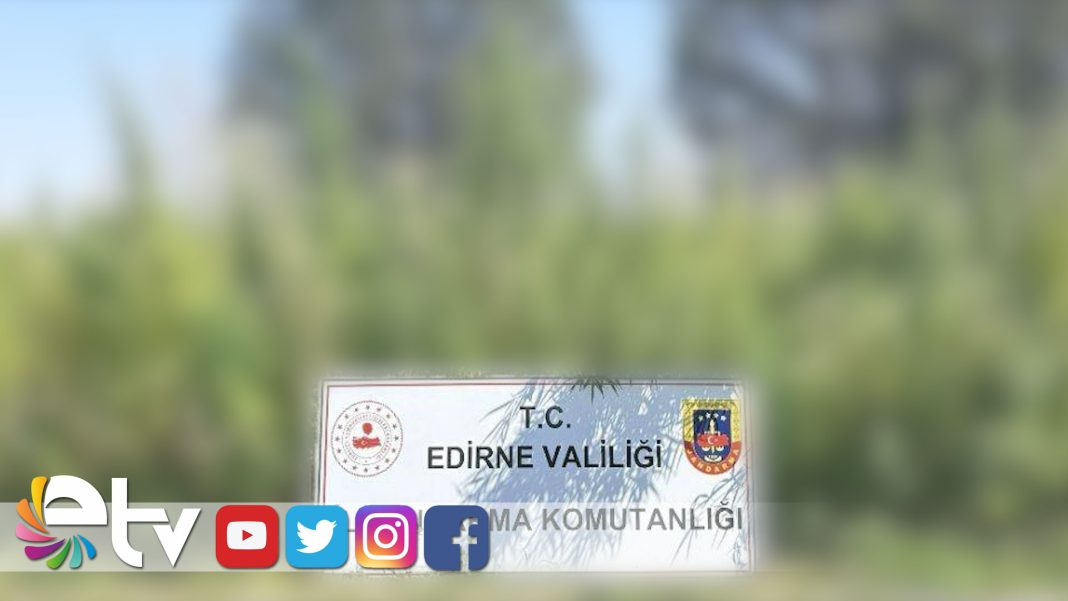 159-BİN-KÖK-KENEVİR-BİTKİSİ-ELE-GEÇİRİLDİ