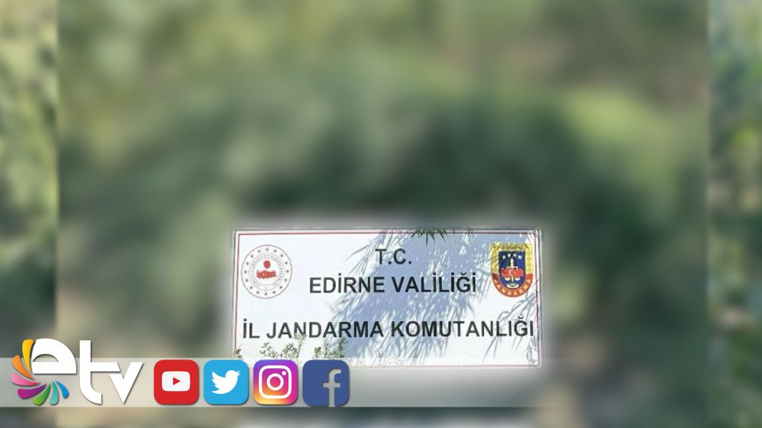 27-BİN-KÖK-KENEVİR-BİTKİSİ-ELE-GEÇİRİLDİ