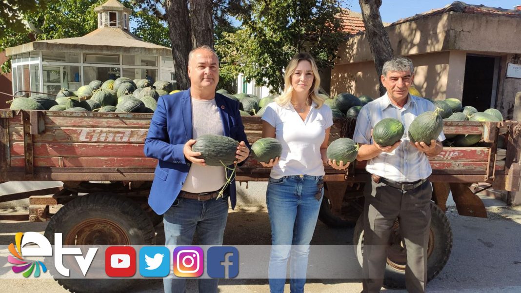 TAYBILLI-KAVUN-ÜRETİCİSİ-ZOR-GÜNLERDEN-GEÇİYOR