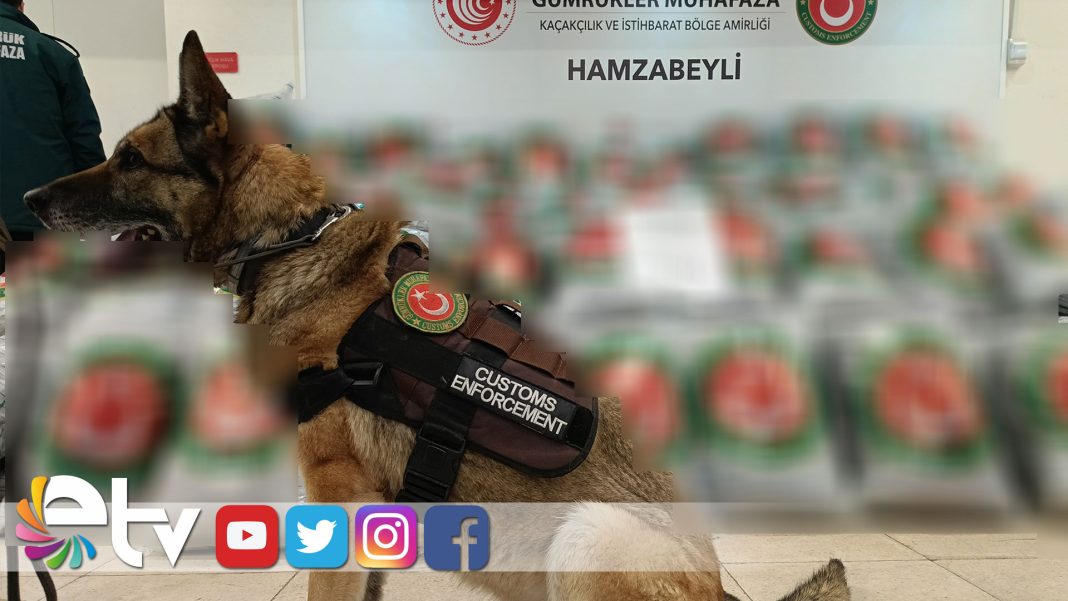 HAMZABEYLİ’DE-870-KİLOGRAM-UYUŞTURUCU-MADDE-YAKALANDI