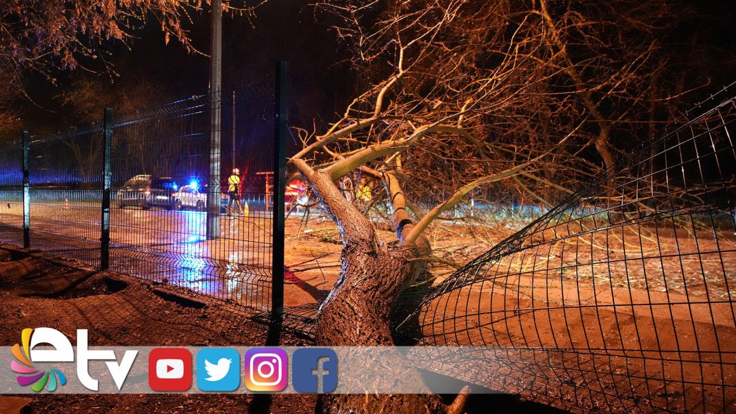 AĞAÇ-YOLA-DEVRİLDİ